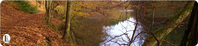 Herbststimmung an der Wupper Nov. 2015