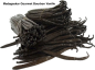 Preview: Madagaskar Gourmet Bourbon Vanilleschoten