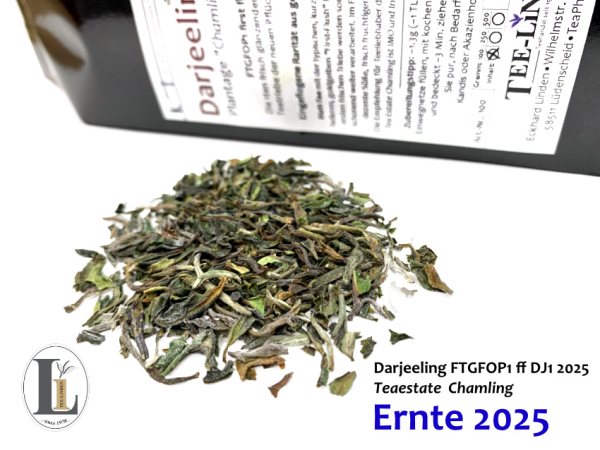 Darjeeling FTGFOP1 first flush Chamling DJ1 2025