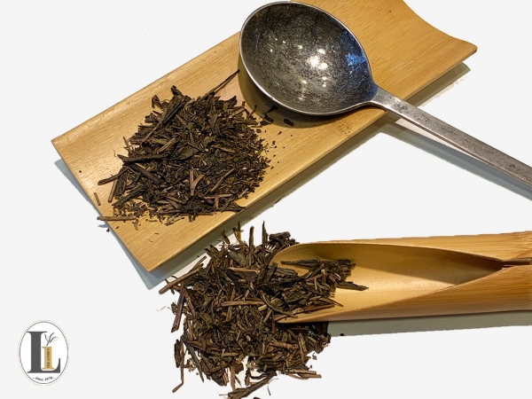 Japan Hojicha