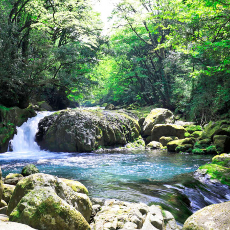 Anbaugebiet unseres japanischen grünen Tees Kumamoto Sencha GOLD-BIO