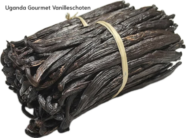 Uganda Gourmet Vanilleschote